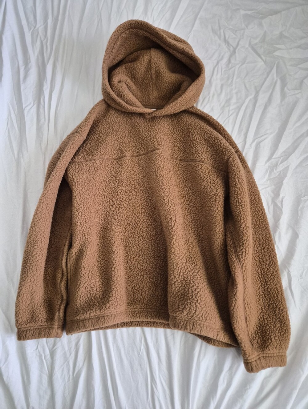 Aritzia TNA teddy Hoodie